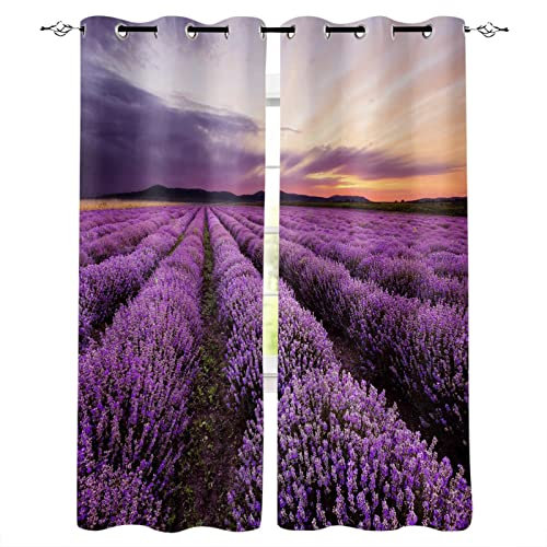 MTBDDyyds Verdunkelungsvorhänge 3D Drucken 300X280Cm Lila Lavendel Landschaft Verdunklungsvorhänge Kinderzimmer 2 Stück Vorhang Blickdicht Ösenschal Kindergardinen Junge Verdunklungsgardine