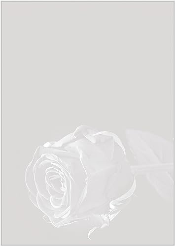 Briefpapier Trauer DIN A4 - Trauerbrief und Kondolenz-Papier 20 Blatt - Motiv Nr. 191 | 100g/m²