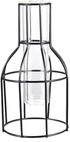 LALAFINA Iron Art Flower Planter with Glass Tube Small Neck Hydroponic Flower Vase for Home Décor and Indoor Plant Arrangement