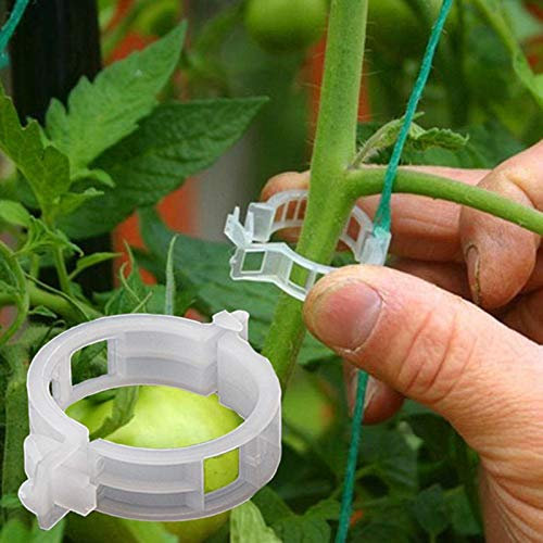 tooloflife 50/100/150 Stück wiederverwendbare Pflanzenstützen, Gartenclips, Rankgitter, Pflanzen-Ranken-Clip für Rebe, Gemüse, Tomaten