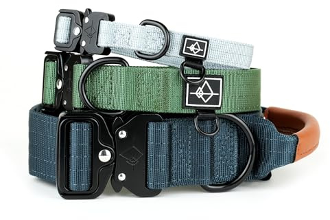 Made to ROAM Premium Dog Collar - Adjustable Heavy Duty Nylon Collar with Quick-Release Metal Buckle (Texas Flair, Classic Size 3)