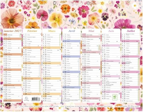 Exacompta - 34305E - Calendrier Mural - Thème Fleurs Avec Illustrations Aquarelles - 7 mois par face - Dimension 29,5 cm x 22 cm - Calendrier 13 mois de Janvier 2027 à Janvier 2028