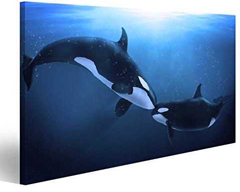 islandburner Bild auf Leinwand Orcas Wale In Der Tiefsee Wal Bilder Wandbilder Poster