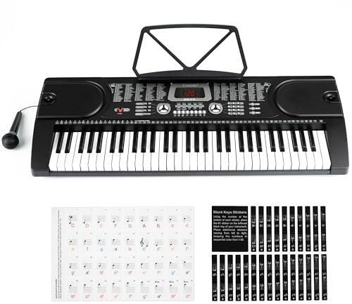 61 Keys Electronic Music Keyboard Piano, Portable Music Digital Piano with Built-in Speaker & Microphone, MP3 Workstation Music Instrument for Adult/Kids (Black)