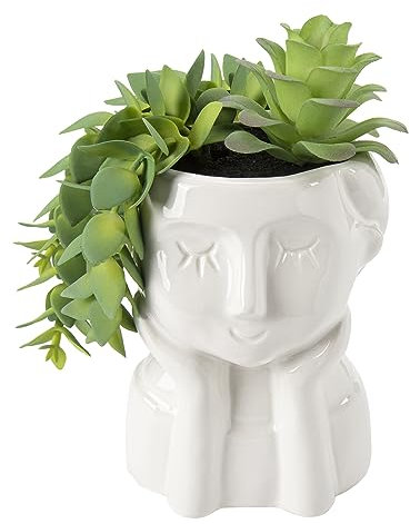 Oairse Artificial Succulent Plants Decorative Fake Plants in Ceramic Pots Realistic String of Succulent Plants Faux Plant Indoor for Home Office Kitchen Bathroom Desk Shelf Décor
