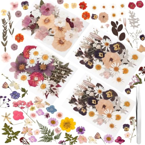 Getrocknete Blumen 100er gepresst + Pinzette für DIY & Basteln (Weiß) | Geeignet für Epoxidharz, Scrapbooking, Kerzen & Hochzeitsdeko. Für Erwachsene & Kinder.