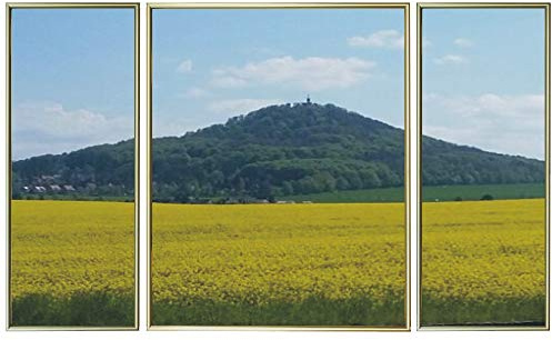 RAABEC Triptychon Alu-Rahmen Farbe Gold 50x80cm für Malen nach Zahlen | Fertig montiert, Mit Rückwand, ideal für Malen nach Zahlen Triptychon Bilder z.B. von Schipper, ohne Glas