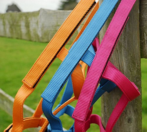 Rhinegold Field Safe Headcollar-COB-Raspberry