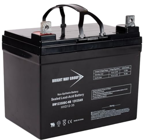 Bright Way Group BW12350-NB SLA Absorbent Glass Mat Battery, 12V 35Ah NB