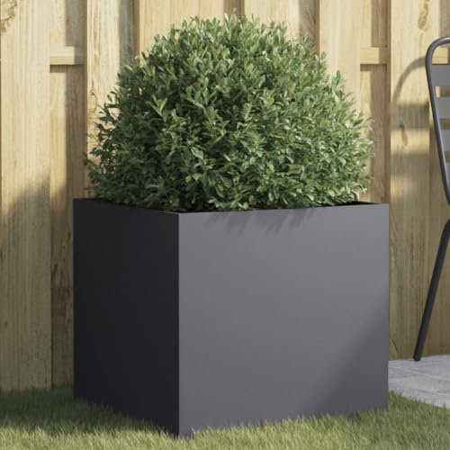 LAPOOH Jardinera de Acero Laminado en frío Antracita 49x47x46 cm, Huerto Urbano Terraza, Jardineras Exterior, Jardineria Maceteros, Mesa De Cultivo, Huerto En Casa - 841563
