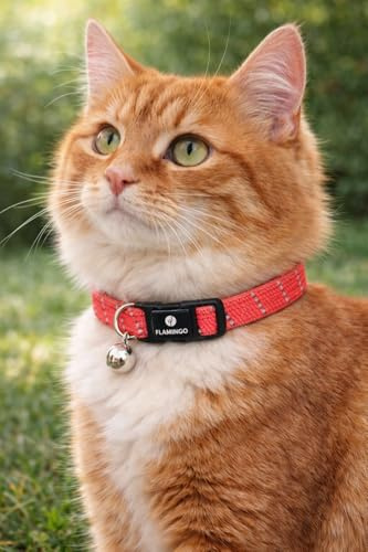 katzenhalsband - Elza Korallenrot 20–34 cm – elastisches Nylon reflektierend mit Glöckchen