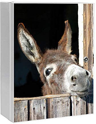 banjado Medizinschrank abschliessbar mit Motiv Nicki 35x46x15cm - großer Arzneischrank für die Hausapotheke - Medikamentenschrank aus Metall zur Medikamenten Aufbewahrung