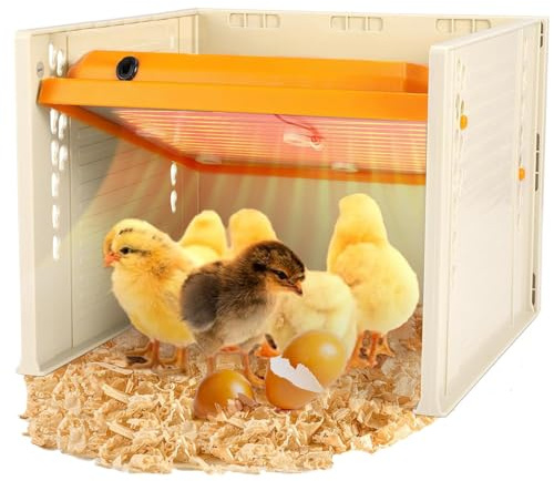 Chick Brooder Plaque chauffante, 25,4 x 25,4 cm, hauteur et angle réglables, température constante sur trois côtés, plaque de couveuse 25 W facile à nettoyer pour 15 poussins (jaune)