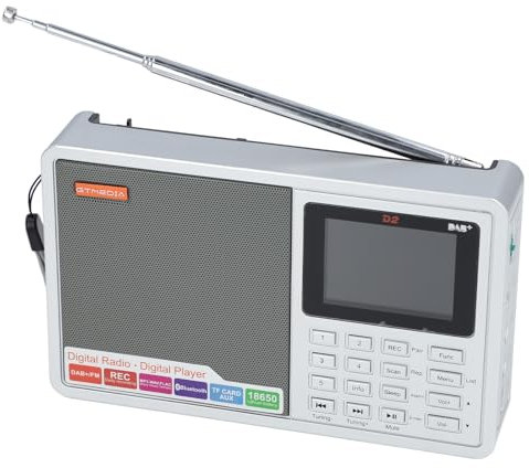 Radio FM numérique avec tuner FM DAB + écran LCD 2,4 pouces, enregistreur d'horloge, entrée AUX, carte micro de stockage pour la maison, le bureau, l'extérieur