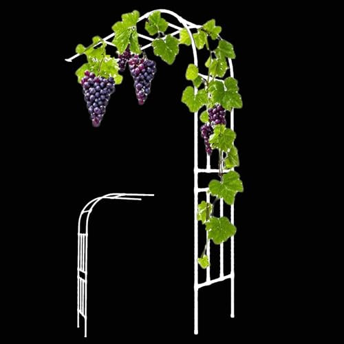 Arche de jardin en métal pour plantes grimpantes - Treillis d'extérieur pour roses - Support solide - Assemblage facile - Design demi-face - Noir - 150 x 40 x 240 cm