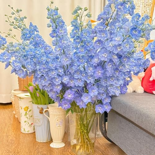 Semi di Delphinium-resistenti per giardini interni semi di decorazione davanzale semi di recisi 250pcs