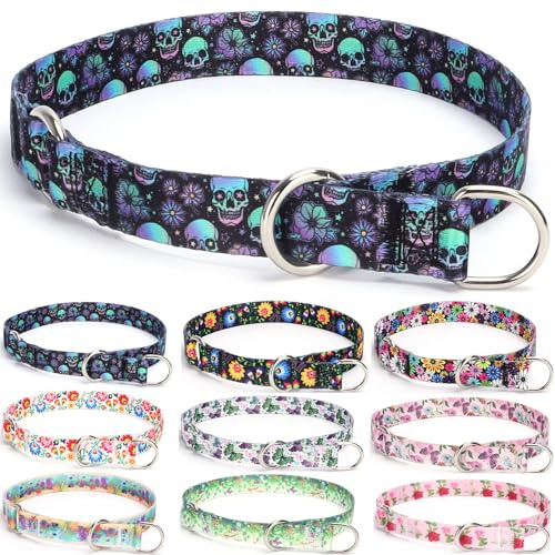 haoyueer Trainings-Hundehalsband, kein Ziehen, Martingalhalsband, Schlupfhalsband mit verschiebbarem Stop-Ring für kleine, mittelgroße und große Hunde (S, Totenkopf)
