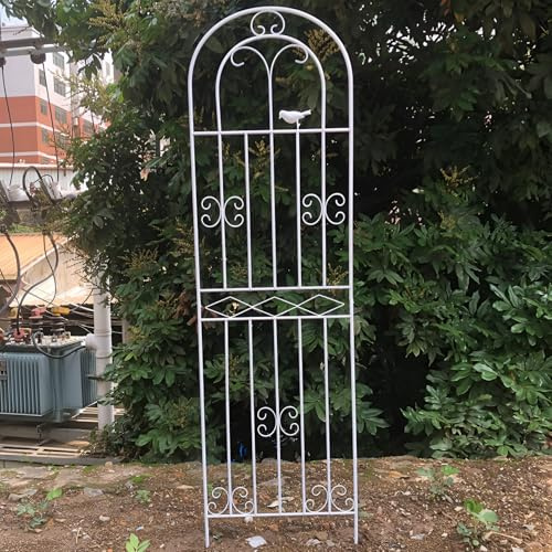 GUOGLZ Soportes para Plantas Metálicos, Metálico para Jardín, Ayuda para Plantas Trepadoras, Rejilla De Jardín, para Rosales Y Tomateras De Interior Y Exterior(White,50x250cm)