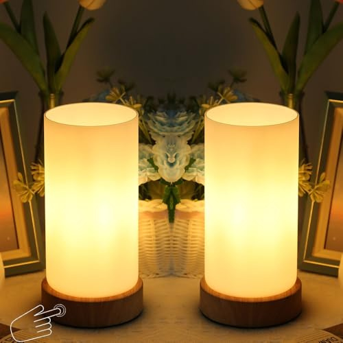 HSLighting Nachttischlampe Touch Dimmbar: Tischlampe mit Glas Lampenschirm Touch Dimmbare Glühbirne 3 Helligkeitsstufen Einstellbar Schreibtischlampe Minimalistische für Lesen Wohnzimme