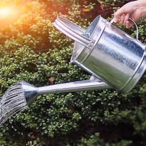 DVTFRUI Regadera Metálica Galvanizada con Pitorro Largo Y Asa Cómoda para Riego De Plantas De Interior Exterior Jardín Balcón Macetas,12L