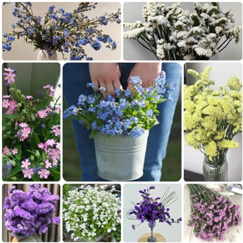 vergissmeinnicht - winterharte vergissmeinnichtsamen wildblumensamen, hochbeet blumenbeet, exotische winterhart deko 1000samen