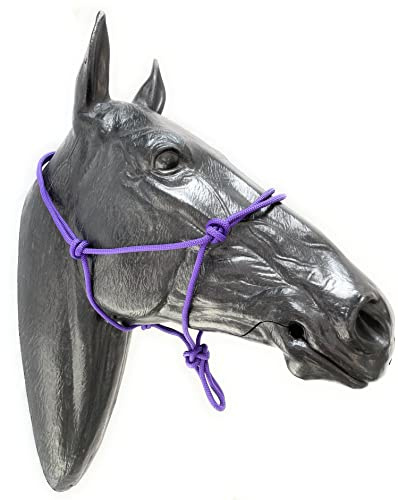 ARBO-INOX Knot Halter Simple Without Lead Rope Special Offer (Full Warmblood Purple)