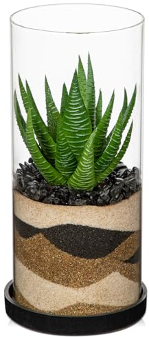 Arborus Künstliche Pflanzen Sukkulenten Künstliche Sukkulent im Glas 20 cm Kunstpflanzen Klein Tisch Deko Sukkulenten Dekopflanzen Klein für Büro Wohnzimmer Schlafzimmer Bad Deko