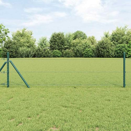 Clôture hexagonale verte 1 x 50 m en acier résistant aux intempéries pour brise-vue et sécurité, treillis métallique durable