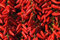 Busta Seme Peperoncino Calabrese Professional Seeds, Mondonatura Srl