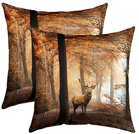 Loussiesd Wald Hirsch Kissenhülle Braun Elch Dekokissen 50x50cm für Sofa Schlafzimmer Dekorativ Natur Wald Tier Motiv 2er Set Kissenbezüge Hirsch Muster Kissenbezug Mikrofaser Sofakissen Couchkissen