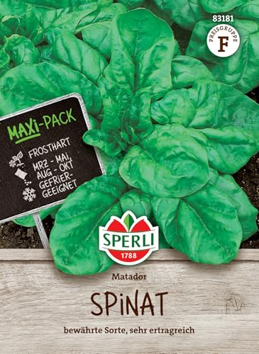 Sperli Spinatsamen Matador, MaxiPack 50g - Hochwertige Gemüsesamen für üppige Ernten, Resistent & Kübelgeeignet, Ideal für Frühjahr & Herbst, Perfekt für Gemüsegarten