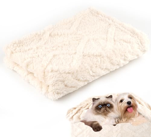 Neerow Dog Blanket Washable, 70 x 100 cm Fleece Cat Blanket, Soft Fluffy Puppy Pet Blankets for Medium Small Indoor Dogs Cats Sofa Bed (Beige)