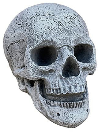 Stone and Style Stenfigur dödskalle frostbeständig väderbeständig massiv lergods