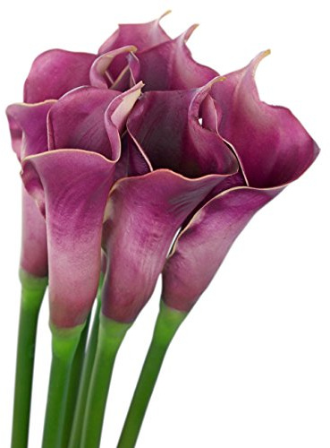 FiveSeasonStuff 6 Long Stems of Real Touch Artificial Purple Calla Lily Flowers & Bouquet, for Home Shop Office Restaurant Wedding Party Décor/DIY Flower Arrangement Decoration, 64cm (25.2 inches)