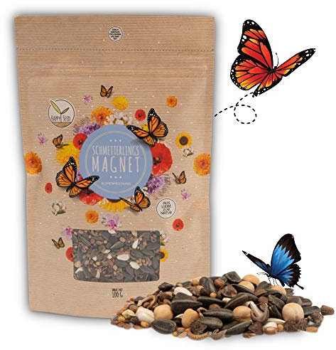 100g Schmetterlingswiese Samen für eine bunte Blumenwiese - Farbenfrohe & nektarreiche Wildblumensamen Mischung für Schmetterlinge