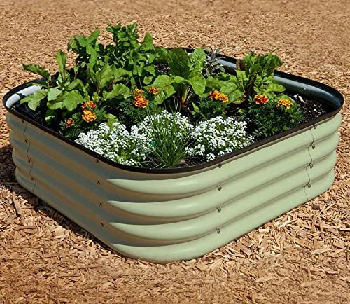 Original Veggie Bed Sage Garden Planting Mist Green Vegetable Planter Easy to Grow our Own 2x Veg Bed by Thompson and Morgan. (Mist Green) 40 x 130 x 90cm