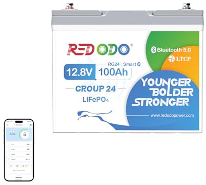 Redodo 12V 100Ah Group24 Batterie LiFePO4 avec Bluetooth Petite Batterie Lithium 1280Wh BMS 100A l'Arrêt en Cas de Basse Température pour Bateau RV Camionnettes Remorques Système Solaire