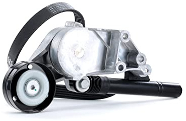 RIDEX 542R0223 Juego de correas trapeciales poli V compatible con VW Golf IV Hatchback 1J1