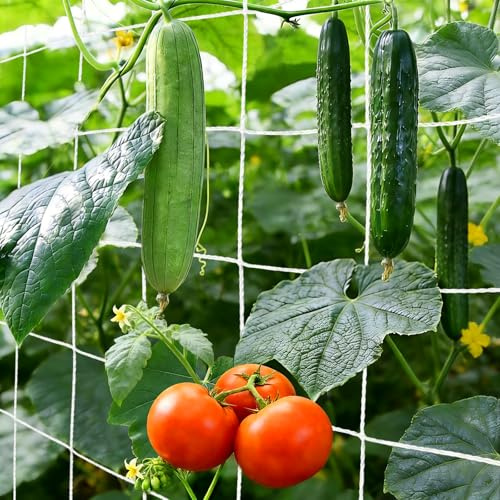 Malla Entutorar Malla para Plantas Trepadoras Tamaño Cuadrícula 15 cm X 15cm Red de Enrejado para Plantas Guisantes Pepinos Tomates Frutas Flores (1.5m x 9m)