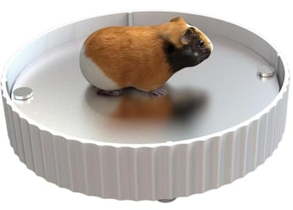 Gungtj Tappetino refrigerante per piccoli animali domestici, in lega di alluminio, per dissipazione del calore, piastra di raffreddamento estiva per criceti, porcellini d' e piccoli animali