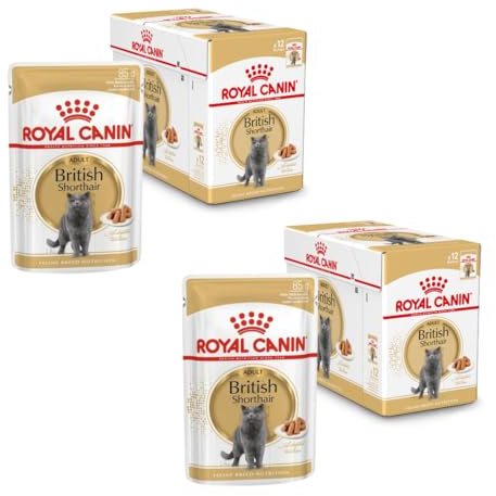 Royal Canin British Shorthair | Doppelpack | 2 x 12 x 85 g | Nassfutter für ausgewachsene Britisch Kurzhaar Katzen | Ab dem 12. Lebensmonat geeignet | Kleine Stückchen in Soße