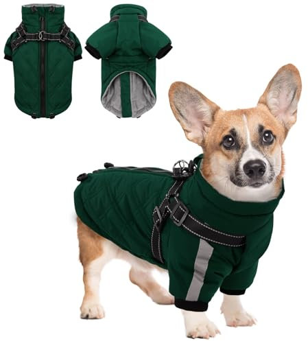 CITÉTOILE Warmer Hundejacke mit Geschirr, Winddichte Hundemantel für Kaltes Wetter, Hundebekleidung mit Reißverschlüssen und Lockeren Bündchen für Hunde, Grün, S