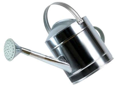 mophrati Regadera de Metal higiénica y Segura para en Interiores y Exteriores Sin filtraciones de Agua Regadera de Acero Inoxidable para Exteriores, Acero galvanizado, 7L