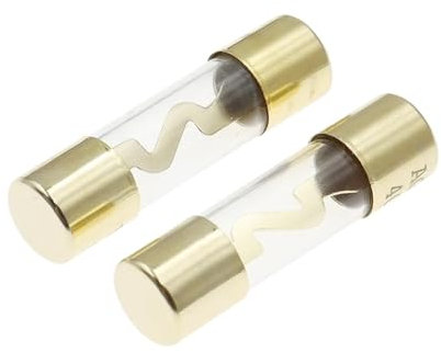 5 Stück vergoldete Glassicherung Sicherungspaket Auto-Audio-Verstärker Verstärker 10A 15A 20A 25A 30A 40A 50A 60A 70A 80A 100A Autosicherung (Size : 80A)