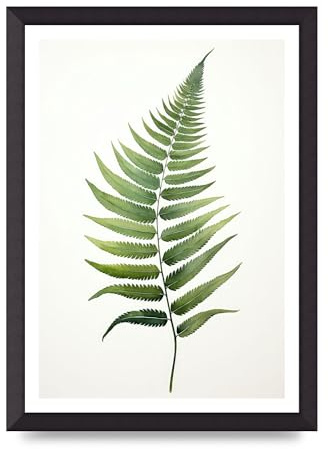 Lithobee - Green Fern Art Print Home Wall Art Prints in Sizes A2, A3 & A4 Framed in a Stylish Quality Coloured Frame or Unframed - A3 Black Abraded Frame