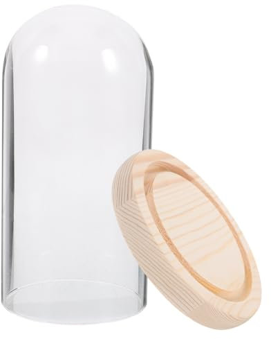 TOPBATHY CúPula De Cristal Transparente Para Flores Preservadas, ExhibicióN De Micro Paisajes, 9x18cm Con Base De Madera, DecoracióN RomáNtica Para San ValentíN