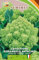 Cavolfiore Romanesco Natalino- Semi di Cavolfiore Tardivo a Forma Geometrica, Verde Brillante, Pianta Resistente e Vigorosa 3 confezioni