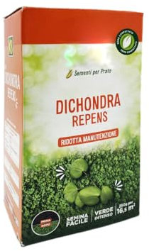 Virsus Semi per Prato DICHONDRA REPENS M003, 1 Confezione da 250g, Tappeto Erboso a Bassa Manutenzione e Colore Intenso, Semina per Prato ad uso estetico ed aiuole, per Giardini e Parchi