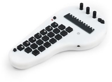 Minichord Synthesizer