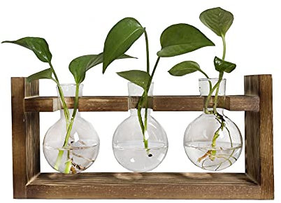 Pimaja Propagation Station 3 Bulb Vase with Wooden Stand, Planter Glass Vase for Hydroponics Home Garden Office Decoration